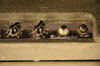 Rickenbacker M-88/amp , Gray: Neck - Front