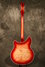 Rickenbacker 360/12 CW, Fireglo: Full Instrument - Rear