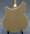 Feb 2002 Rickenbacker 360/12 VP, Desert Gold: Body - Rear