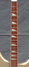 Rickenbacker 360/12 VP, Desert Gold: Neck - Front
