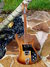 Rickenbacker 480/6 BT, Autumnglo: Full Instrument - Front