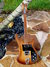 Sep 1976 Rickenbacker 480/6 BT, Autumnglo: Full Instrument - Front