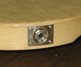Rickenbacker 330/6 , Mapleglo: Close up - Free