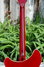 Rickenbacker 360/12 , Burgundy: Close up - Free2