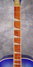 Rickenbacker 700/6 PW Build (acoustic), Blueburst: Neck - Front