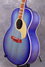 Rickenbacker 700/6 PW Build (acoustic), Blueburst: Close up - Free2