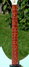 Rickenbacker 330/6 VB VP, Blue Boy: Neck - Front