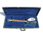 Rickenbacker 620/12 , Azureglo: Close up - Free