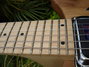 Rickenbacker 650/6 Dakota, Natural Walnut: Neck - Front