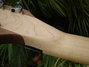 Rickenbacker 650/6 Dakota, Natural Walnut: Neck - Rear