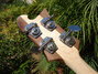 Rickenbacker 4001/4 C64, Mapleglo: Headstock - Rear