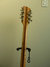 Rickenbacker 336/12 , Mapleglo: Free image