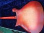 Rickenbacker 450/12 Setneck, Fireglo: Full Instrument - Rear