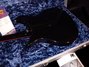 Nov 1998 Rickenbacker 325/6 V59, Jetglo: Body - Rear