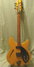 Rickenbacker 330/6 BH BT, Mapleglo: Full Instrument - Front