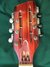 May 1966 Rickenbacker 360/12 Mod, Fireglo: Headstock