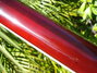 Rickenbacker 4001/4 , Burgundy: Neck - Rear