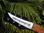Rickenbacker 350/6 V63, Jetglo: Headstock