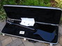 Rickenbacker 350/6 V63, Jetglo: Full Instrument - Rear