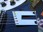 Rickenbacker 350/6 V63, Jetglo: Close up - Free