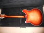 Rickenbacker 360/12 , Fireglo: Full Instrument - Rear