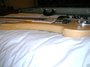 Rickenbacker 4001/4 C64, Mapleglo: Free image2