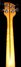 Rickenbacker 3001/4 , Walnut: Neck - Rear
