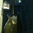 Jun 1965 Rickenbacker 450/6 , Black: Neck - Front