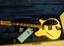 Rickenbacker 360/6 BH BT, Mapleglo: Full Instrument - Rear