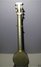 Rickenbacker A25/6 LapSteel, Aluminum: Full Instrument - Rear