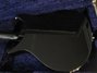 Rickenbacker 355/12 , Jetglo: Body - Rear