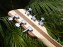 Rickenbacker 360/6 , Mapleglo: Headstock - Rear