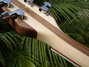 Rickenbacker 360/6 , Mapleglo: Neck - Rear