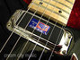 Rickenbacker 650/6 Colorado, Jetglo: Free image