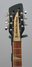 Rickenbacker 660/12 TP, Jetglo: Headstock