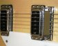 Rickenbacker 360/6 , Mapleglo: Close up - Free2