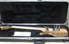 Rickenbacker 650/6 Dakota, Natural Walnut: Full Instrument - Front