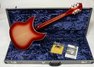 Rickenbacker 360/12 V64, Fireglo: Full Instrument - Rear