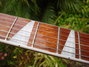 Rickenbacker 360/6 , Jetglo: Neck - Front
