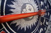 Rickenbacker 620/6 , Fireglo: Neck - Rear