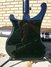 Jul 2003 Rickenbacker 4003/4 , Jetglo: Body - Rear