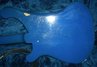 Oct 1977 Rickenbacker 4001/4 , Azureglo: Body - Rear