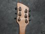 Rickenbacker 650/6 , Mapleglo: Headstock - Rear