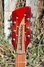 Rickenbacker 660/12 TP, Fireglo: Headstock