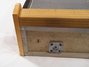 Rickenbacker CW/8 LapSteel, Blonde: Free image2