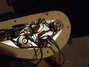 Rickenbacker 4001/4 , Mapleglo: Free image