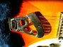 Rickenbacker 350/6 Liverpool, Fireglo: Close up - Free2