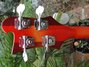 Rickenbacker 4003/4 , Amber Fireglo: Headstock - Rear