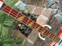 Rickenbacker 4003/4 , Amber Fireglo: Neck - Front
