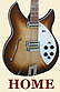 Rickenbacker Forum